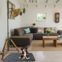 Jooba Puppy Training Pads - Wasbare Puppy Pads 2 Stuks - Hondentoilet - 70x50cm - Puppy 10 Jooba Puppy Training Pads - Wasbare Puppy Pads 2 Stuks - Hondentoilet - 70x50cm - Puppy -Huisdierbenodigdheden Serie 1200x1200 315