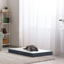 CozySense® - Orthopedisch Hondenkussen - Hondenkussen 60 X 40 Cm - Ook Geschikt Als Benchkussen & Hondenbed - Hondenkussen Bank - Traagschuim - Waterdicht - Wasbare Hoes - Maat S 13 CozySense® - Orthopedisch Hondenkussen - Hondenkussen 60 X 40 Cm - Ook Geschikt Als Benchkussen & Hondenbed - Hondenkussen Bank - Traagschuim - Waterdicht - Wasbare Hoes - Maat S -Huisdierbenodigdheden Serie 1200x1200 33