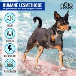 Nola & Coco® Oplaadbare Anti Blafband - 4 Kleuren - Zonder Schok - Waterdichte Diervriendelijke Blaf Halsband - Opvoedingshalsband - Voor Grote En Kleine Honden - Lichte Vibratie En Geluid - 3 Tot 60kg 10 Nola & Coco® Oplaadbare Anti Blafband - 4 Kleuren - Zonder Schok - Waterdichte Diervriendelijke Blaf Halsband - Opvoedingshalsband - Voor Grote En Kleine Honden - Lichte Vibratie En Geluid - 3 Tot 60kg -Huisdierbenodigdheden Serie 1200x1200 343
