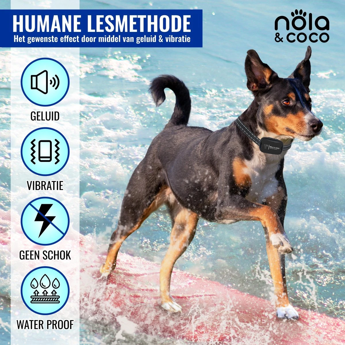 Nola & Coco® Oplaadbare Anti Blafband - 4 Kleuren - Zonder Schok - Waterdichte Diervriendelijke Blaf Halsband - Opvoedingshalsband - Voor Grote En Kleine Honden - Lichte Vibratie En Geluid - 3 Tot 60kg 4 Nola & Coco® Oplaadbare Anti Blafband - 4 Kleuren - Zonder Schok - Waterdichte Diervriendelijke Blaf Halsband - Opvoedingshalsband - Voor Grote En Kleine Honden - Lichte Vibratie En Geluid - 3 Tot 60kg - Afbeelding 4
