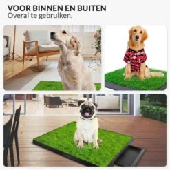 Merkloos Hondentoilet Kunstgras Met Bak - Indoor Dierentoilet - Uitneembare Opvangbak - Puppy Training Pets - Outdoor/Balkon/Tuin/Indoor Toilet - 50x64 Cm 15 Merkloos Hondentoilet Kunstgras Met Bak - Indoor Dierentoilet - Uitneembare Opvangbak - Puppy Training Pets - Outdoor/Balkon/Tuin/Indoor Toilet - 50x64 Cm -Huisdierbenodigdheden Serie 1200x1200 354