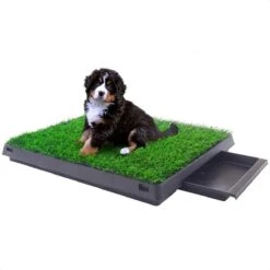 Merkloos Hondentoilet Kunstgras Met Bak - Indoor Dierentoilet - Uitneembare Opvangbak - Puppy Training Pets - Outdoor/Balkon/Tuin/Indoor Toilet - 50x64 Cm 17 Merkloos Hondentoilet Kunstgras Met Bak - Indoor Dierentoilet - Uitneembare Opvangbak - Puppy Training Pets - Outdoor/Balkon/Tuin/Indoor Toilet - 50x64 Cm -Huisdierbenodigdheden Serie 1200x1200 356