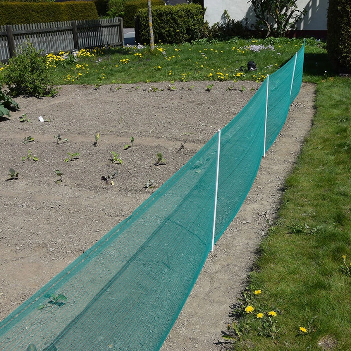 Verplaatsbare Net Afrastering Groen 80cm Hoog - 20m 6 Verplaatsbare Net Afrastering Groen 80cm Hoog - 20m - Afbeelding 6