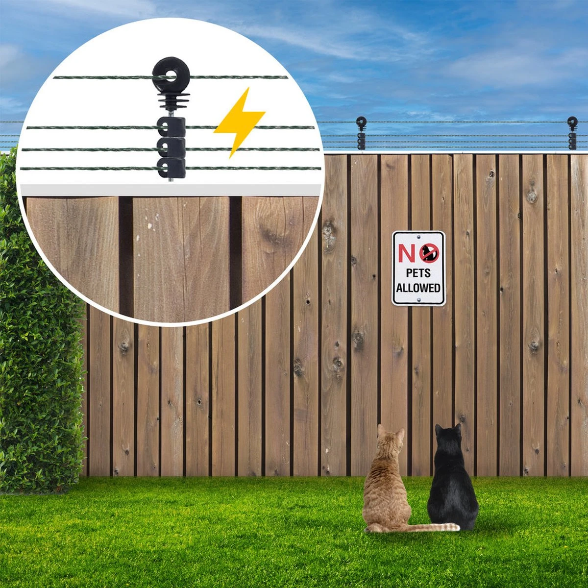 Katten Schrikdraad Set Voor Op De Schutting 5 Katten Schrikdraad Set Voor Op De Schutting - Afbeelding 5