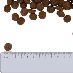 Vetality Hypoallergenic Hondenvoer - 10 Kg 6 Vetality Hypoallergenic Hondenvoer - 10 Kg -Huisdierbenodigdheden Serie 1200x1200 380