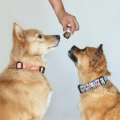 Topdiervoeding Runderlong Hondensnacks - Vers Gedroogd - Knapperig - 1 KG 7 Topdiervoeding Runderlong Hondensnacks - Vers Gedroogd - Knapperig - 1 KG -Huisdierbenodigdheden Serie 1200x1200 384