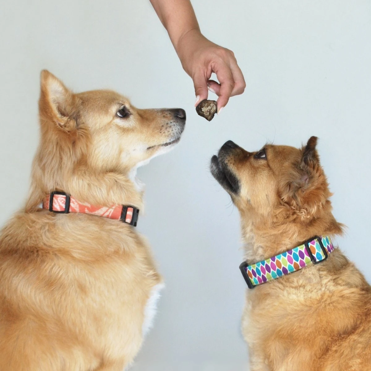 Topdiervoeding Runderlong Hondensnacks - Vers Gedroogd - Knapperig - 1 KG 3 Topdiervoeding Runderlong Hondensnacks - Vers Gedroogd - Knapperig - 1 KG - Afbeelding 3