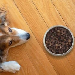 Topdiervoeding Runderlong Hondensnacks - Vers Gedroogd - Knapperig - 1 KG 8 Topdiervoeding Runderlong Hondensnacks - Vers Gedroogd - Knapperig - 1 KG -Huisdierbenodigdheden Serie 1200x1200 385