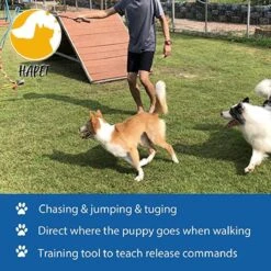 CF Pack - Hond Buitenspeelgoed Actief Behendigheid Touw Dog Flirt Pole Flirtpole Toy Tug Tease Wand Non-Bungee Cord Dog Toy For Fun Obedience Training Extandable Toy Honden Speelgoed Hondenspeelgoed Behendigheidspeelgoed 10 CF Pack - Hond Buitenspeelgoed Actief Behendigheid Touw Dog Flirt Pole Flirtpole Toy Tug Tease Wand Non-Bungee Cord Dog Toy For Fun Obedience Training Extandable Toy Honden Speelgoed Hondenspeelgoed Behendigheidspeelgoed -Huisdierbenodigdheden Serie 1200x1200 399