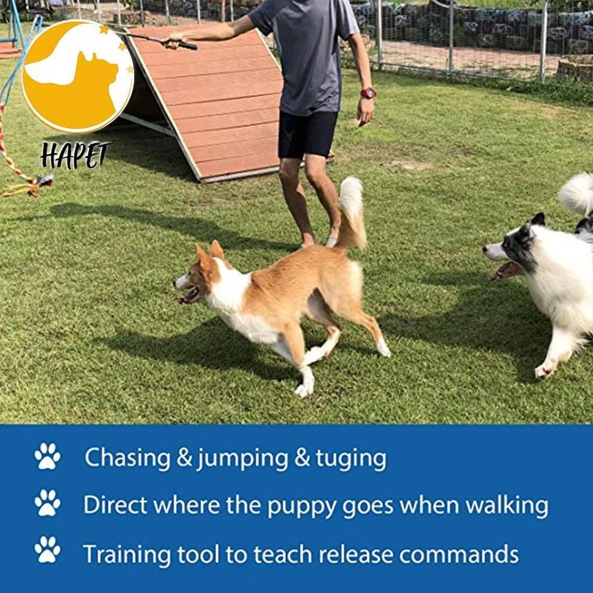 CF Pack - Hond Buitenspeelgoed Actief Behendigheid Touw Dog Flirt Pole Flirtpole Toy Tug Tease Wand Non-Bungee Cord Dog Toy For Fun Obedience Training Extandable Toy Honden Speelgoed Hondenspeelgoed Behendigheidspeelgoed 5 CF Pack - Hond Buitenspeelgoed Actief Behendigheid Touw Dog Flirt Pole Flirtpole Toy Tug Tease Wand Non-Bungee Cord Dog Toy For Fun Obedience Training Extandable Toy Honden Speelgoed Hondenspeelgoed Behendigheidspeelgoed - Afbeelding 5