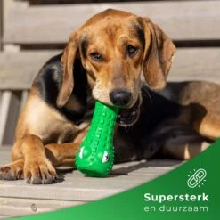 Tandenborstel Hond Melk Geur Smaak En Piep Honden Speelgoed Dog Toy - Krokodil Groen - Dutchwide -Huisdierbenodigdheden Serie 1200x1200 401