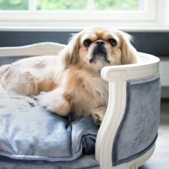 Lord Lou - George Roze Velvet S - Luxe Hondenmand - Luxe Kattenmand - 49x40x31 13 Lord Lou - George Roze Velvet S - Luxe Hondenmand - Luxe Kattenmand - 49x40x31 -Huisdierbenodigdheden Serie 1200x1200 420