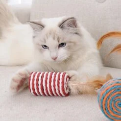 GIZMO Luxe Kattenspeeltjes Set - 7 Speeltjes - Interactieve Kattenhengel, Kattenspeelgoed & Speelmuisjes - Kitten Speeltjes 14 GIZMO Luxe Kattenspeeltjes Set - 7 Speeltjes - Interactieve Kattenhengel, Kattenspeelgoed & Speelmuisjes - Kitten Speeltjes -Huisdierbenodigdheden Serie 1200x1200 434
