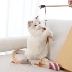 GIZMO Luxe Kattenspeeltjes Set - 7 Speeltjes - Interactieve Kattenhengel, Kattenspeelgoed & Speelmuisjes - Kitten Speeltjes 19 GIZMO Luxe Kattenspeeltjes Set - 7 Speeltjes - Interactieve Kattenhengel, Kattenspeelgoed & Speelmuisjes - Kitten Speeltjes -Huisdierbenodigdheden Serie 1200x1200 436