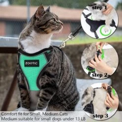 Kattentuigje Met Leiband Riem Kattenharnas Groen Maat M Kat & Kitten - Dieren Kattenriem - Cat Leash - Halsomvang 20 Tot 26cm - Borstomvang 30 Tot 34cm - Zootic® -Huisdierbenodigdheden Serie 1200x1200 446