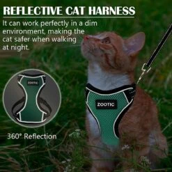 Kattentuigje Met Leiband Riem Kattenharnas Groen Maat M Kat & Kitten - Dieren Kattenriem - Cat Leash - Halsomvang 20 Tot 26cm - Borstomvang 30 Tot 34cm - Zootic® -Huisdierbenodigdheden Serie 1200x1200 447