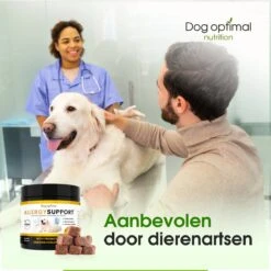 DOG OPTIMAL ANTI ALLERGY SUPPORT 120 Stuks - Allergie - Honden - Hondensnacks - Hondenkoekjes - Hondensupplementen - Honden - Puppy - Hondenvoeding - Weerstand - Jeuk-hond - Jeuk 10 DOG OPTIMAL ANTI ALLERGY SUPPORT 120 Stuks - Allergie - Honden - Hondensnacks - Hondenkoekjes - Hondensupplementen - Honden - Puppy - Hondenvoeding - Weerstand - Jeuk-hond - Jeuk -Huisdierbenodigdheden Serie 1200x1200 47