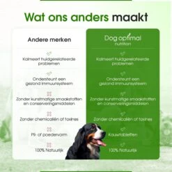 DOG OPTIMAL ANTI ALLERGY SUPPORT 120 Stuks - Allergie - Honden - Hondensnacks - Hondenkoekjes - Hondensupplementen - Honden - Puppy - Hondenvoeding - Weerstand - Jeuk-hond - Jeuk 11 DOG OPTIMAL ANTI ALLERGY SUPPORT 120 Stuks - Allergie - Honden - Hondensnacks - Hondenkoekjes - Hondensupplementen - Honden - Puppy - Hondenvoeding - Weerstand - Jeuk-hond - Jeuk -Huisdierbenodigdheden Serie 1200x1200 48