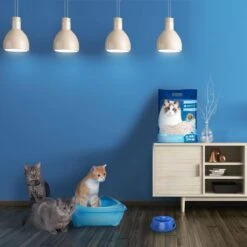 Nobleza 48REM - Tofu Kattenbakvulling - Snel Absorberend - 3.8 L - Klontvormend - 2 Kg 12 Nobleza 48REM - Tofu Kattenbakvulling - Snel Absorberend - 3.8 L - Klontvormend - 2 Kg -Huisdierbenodigdheden Serie 1200x1200 485