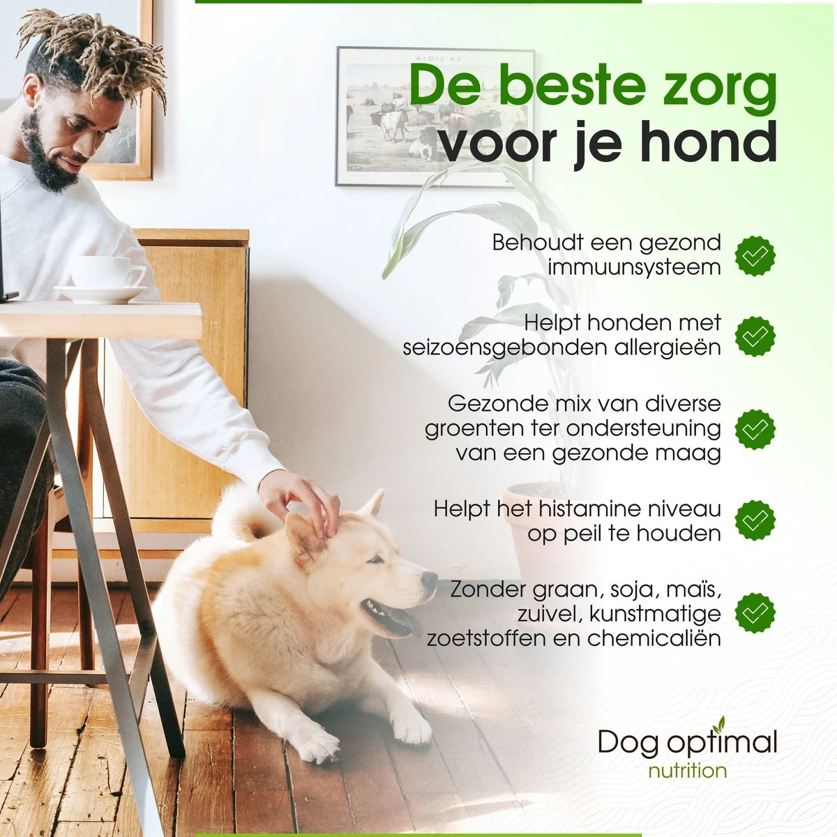 DOG OPTIMAL ANTI ALLERGY SUPPORT 120 Stuks - Allergie - Honden - Hondensnacks - Hondenkoekjes - Hondensupplementen - Honden - Puppy - Hondenvoeding - Weerstand - Jeuk-hond - Jeuk 5 DOG OPTIMAL ANTI ALLERGY SUPPORT 120 Stuks - Allergie - Honden - Hondensnacks - Hondenkoekjes - Hondensupplementen - Honden - Puppy - Hondenvoeding - Weerstand - Jeuk-hond - Jeuk - Afbeelding 5