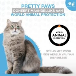 Pretty Paws PP002 Professionele Automatische Voerbak Kat- Stemrecorder - Voerautomaat - Katten Voerbak - Minimalistisch 25 Pretty Paws PP002 Professionele Automatische Voerbak Kat- Stemrecorder - Voerautomaat - Katten Voerbak - Minimalistisch -Huisdierbenodigdheden Serie 1200x1200 492