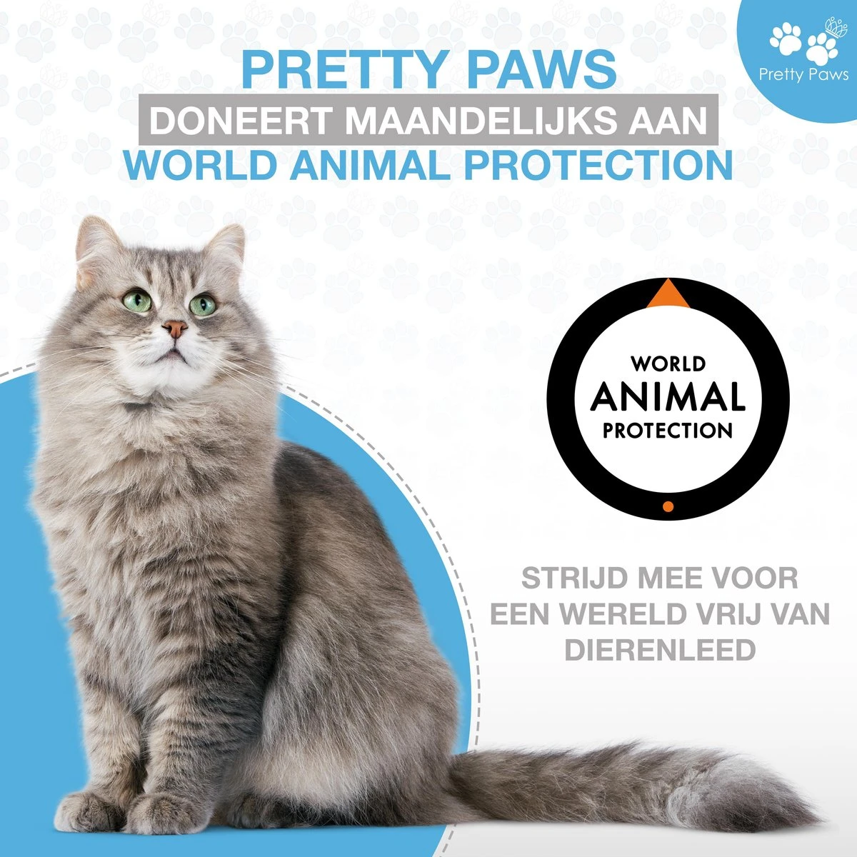 Pretty Paws PP002 Professionele Automatische Voerbak Kat- Stemrecorder - Voerautomaat - Katten Voerbak - Minimalistisch 13 Pretty Paws PP002 Professionele Automatische Voerbak Kat- Stemrecorder - Voerautomaat - Katten Voerbak - Minimalistisch - Afbeelding 13