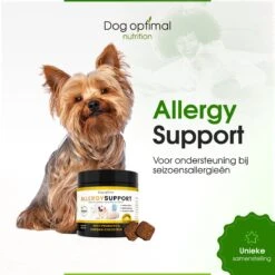 DOG OPTIMAL ANTI ALLERGY SUPPORT 120 Stuks - Allergie - Honden - Hondensnacks - Hondenkoekjes - Hondensupplementen - Honden - Puppy - Hondenvoeding - Weerstand - Jeuk-hond - Jeuk 13 DOG OPTIMAL ANTI ALLERGY SUPPORT 120 Stuks - Allergie - Honden - Hondensnacks - Hondenkoekjes - Hondensupplementen - Honden - Puppy - Hondenvoeding - Weerstand - Jeuk-hond - Jeuk -Huisdierbenodigdheden Serie 1200x1200 50