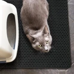 Merkloos Tastelio XXL Kattenbakmat 75x55cm - Groot Kattenbak Mat Met Innovatieve Honingraatstructuur - Dubbele Waterdichte Laag - Katten Bak Mat Met Eenvoudige Reiniging Grit Opvanger 12 Merkloos Tastelio XXL Kattenbakmat 75x55cm - Groot Kattenbak Mat Met Innovatieve Honingraatstructuur - Dubbele Waterdichte Laag - Katten Bak Mat Met Eenvoudige Reiniging Grit Opvanger -Huisdierbenodigdheden Serie 1200x1200 501