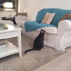 HG Tegen Urine Geur - 500 Ml - Effectief En Snel Resultaat - Neemt De Geur Definitief Weg -Huisdierbenodigdheden Serie 1200x1200 503