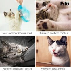 Filo Kattenhengel Set + 12 Kattenspeeltjes – Speelhengels Interactief Kattenspeelgoed – Hengel Kattenspeeltje Kittens - Speelgoed Speelhengel Vis Kat En Kitten 14 Filo Kattenhengel Set + 12 Kattenspeeltjes – Speelhengels Interactief Kattenspeelgoed – Hengel Kattenspeeltje Kittens - Speelgoed Speelhengel Vis Kat En Kitten -Huisdierbenodigdheden Serie 1200x1200 516