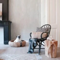 District 70 COCOON - Luxe Hondenmand Van Duurzaam Hoogwaardig Riet Met Zacht Kussen - Maten S/M/L - Large -Huisdierbenodigdheden Serie 1200x1200 54