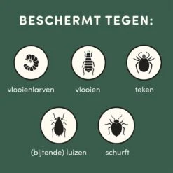 3 Stuks Vlooienband Kat Tekenband - 100% Natuurlijk Veilig En Waterbestendig 15 3 Stuks Vlooienband Kat Tekenband - 100% Natuurlijk Veilig En Waterbestendig -Huisdierbenodigdheden Serie 1200x1200 548