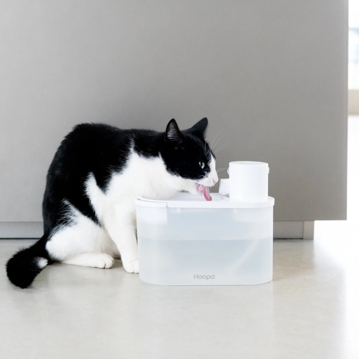 Hoopo® Agua - DRAADLOZE Waterfontein Katten - SMART Waterfontein Katten - UVC Disinfectie - 2 Liter - Automatische Katten Fontein 4 Hoopo® Agua - DRAADLOZE Waterfontein Katten - SMART Waterfontein Katten - UVC Disinfectie - 2 Liter - Automatische Katten Fontein - Afbeelding 4