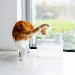 Hoopo® Agua - DRAADLOZE Waterfontein Katten - SMART Waterfontein Katten - UVC Disinfectie - 2 Liter - Automatische Katten Fontein 12 Hoopo® Agua - DRAADLOZE Waterfontein Katten - SMART Waterfontein Katten - UVC Disinfectie - 2 Liter - Automatische Katten Fontein -Huisdierbenodigdheden Serie 1200x1200 572