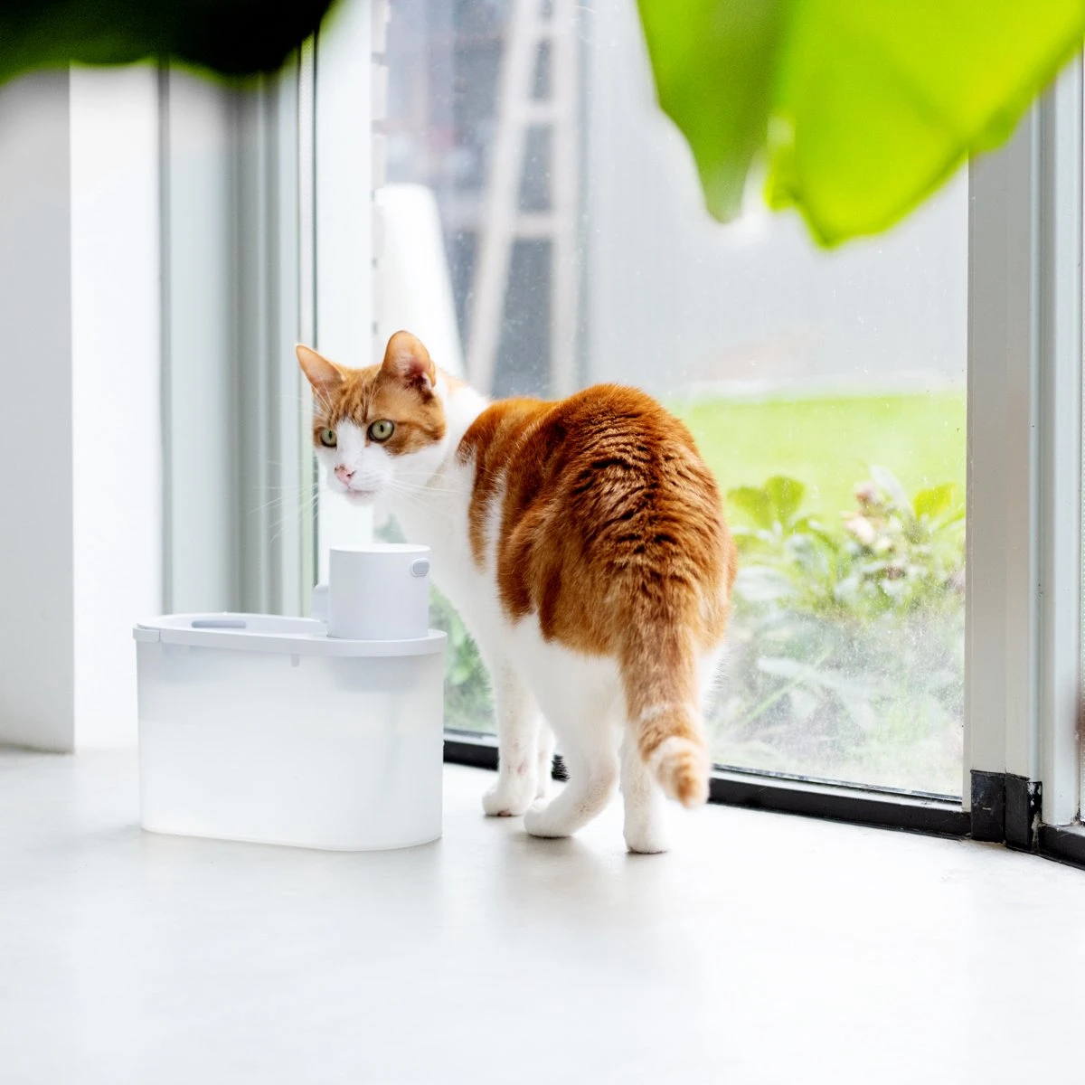 Hoopo® Agua - DRAADLOZE Waterfontein Katten - SMART Waterfontein Katten - UVC Disinfectie - 2 Liter - Automatische Katten Fontein 6 Hoopo® Agua - DRAADLOZE Waterfontein Katten - SMART Waterfontein Katten - UVC Disinfectie - 2 Liter - Automatische Katten Fontein - Afbeelding 6