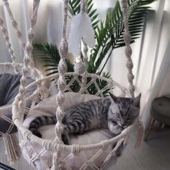 Bonbox Shop - Macrame Hangmat Voor Katten En Kittens - Kattenhammock - Hangmand -Huisdierbenodigdheden Serie 1200x1200 578