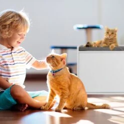 Relaxdays Kattenbak Ombouw - Met Zitkussen - Kattenhuis Wit - Kattenmeubel - Kattenkast -Huisdierbenodigdheden Serie 1200x1200 589