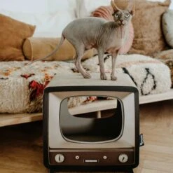 District 70 TELLY - Retro TV Krabmeubel - Instagrammable Kartonnen TV Voor Katten - 39 X 27 X 37 Cm 15 District 70 TELLY - Retro TV Krabmeubel - Instagrammable Kartonnen TV Voor Katten - 39 X 27 X 37 Cm -Huisdierbenodigdheden Serie 1200x1200 594