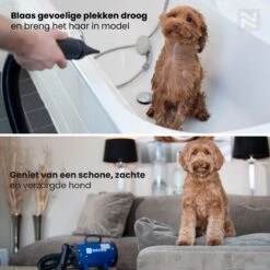 Nuvoo Professionele Hondenföhn / Waterblazer / Hondenborstel Met 3 Opzetstukken - Verstelbare Vermogen Tot 2200W - Warme / Koude Stand - Rood 13 Nuvoo Professionele Hondenföhn / Waterblazer / Hondenborstel Met 3 Opzetstukken - Verstelbare Vermogen Tot 2200W - Warme / Koude Stand - Rood -Huisdierbenodigdheden Serie 1200x1200 6