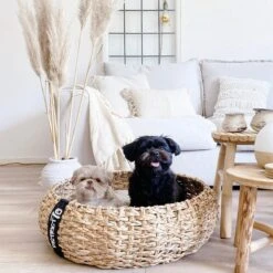 District 70 COCOON - Luxe Hondenmand Van Duurzaam Hoogwaardig Riet Met Zacht Kussen - Maten S/M/L - Large -Huisdierbenodigdheden Serie 1200x1200 61