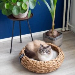 District 70 COCOON - Luxe Hondenmand Van Duurzaam Hoogwaardig Riet Met Zacht Kussen - Maten S/M/L - Large -Huisdierbenodigdheden Serie 1200x1200 65