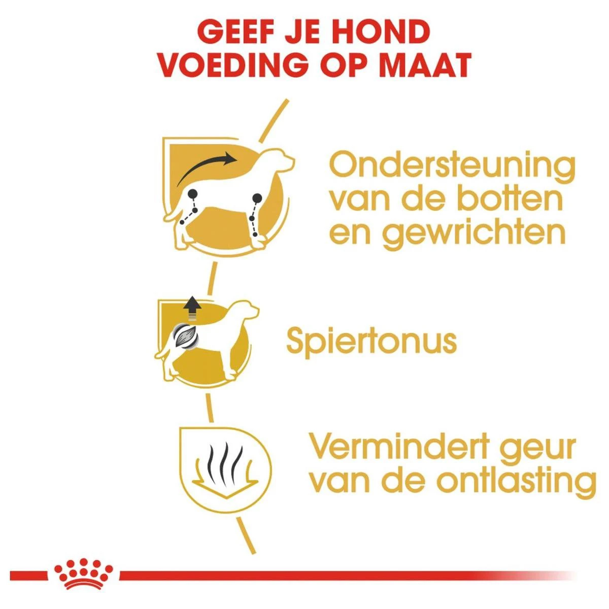 Royal Canin Dachshund/Teckel Adult 7.5 KG 4 Royal Canin Dachshund/Teckel Adult 7.5 KG - Afbeelding 4