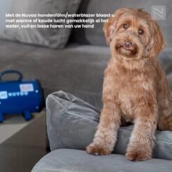 Nuvoo Professionele Hondenföhn / Waterblazer / Hondenborstel Met 3 Opzetstukken - Verstelbare Vermogen Tot 2200W - Warme / Koude Stand - Rood 17 Nuvoo Professionele Hondenföhn / Waterblazer / Hondenborstel Met 3 Opzetstukken - Verstelbare Vermogen Tot 2200W - Warme / Koude Stand - Rood -Huisdierbenodigdheden Serie 1200x1200 8