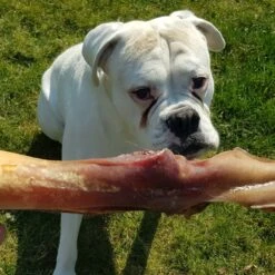 Topdiervoeding Runderkophuid Hondensnacks - Vers Gedroogd - 30cm - 1000 Gram 7 Topdiervoeding Runderkophuid Hondensnacks - Vers Gedroogd - 30cm - 1000 Gram -Huisdierbenodigdheden Serie 1200x1200 97