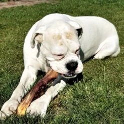 Topdiervoeding Runderkophuid Hondensnacks - Vers Gedroogd - 30cm - 1000 Gram 9 Topdiervoeding Runderkophuid Hondensnacks - Vers Gedroogd - 30cm - 1000 Gram -Huisdierbenodigdheden Serie 1200x1200 99