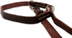 Multifunctionele Hondenriem - 220cm - Bruin - Leren Hondenriem - 100% Volnerfleer - Hondenriem Leer - Leiband Hond -Huisdierbenodigdheden Serie 1200x631