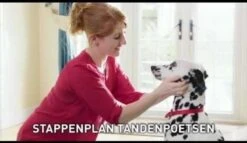 Beaphar Tandenborstel 10 Beaphar Tandenborstel -Huisdierbenodigdheden Serie 1200x697