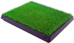 Merkloos Maoo Premium Hondentoilet - Geurbestendig & Hondvriendelijk Kunstgras - Uitneembare Opvangbak - Indoor En Outdoor - 63 X 50 Cm 9 Merkloos Maoo Premium Hondentoilet - Geurbestendig & Hondvriendelijk Kunstgras - Uitneembare Opvangbak - Indoor En Outdoor - 63 X 50 Cm -Huisdierbenodigdheden Serie 1200x698