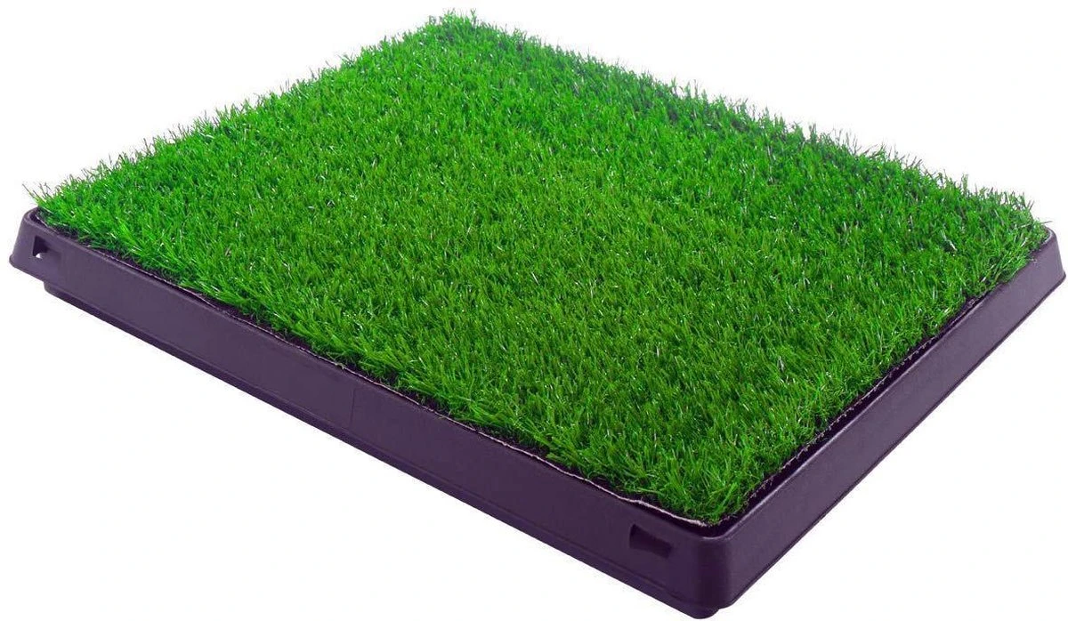 Merkloos Maoo Premium Hondentoilet - Geurbestendig & Hondvriendelijk Kunstgras - Uitneembare Opvangbak - Indoor En Outdoor - 63 X 50 Cm 3 Merkloos Maoo Premium Hondentoilet - Geurbestendig & Hondvriendelijk Kunstgras - Uitneembare Opvangbak - Indoor En Outdoor - 63 X 50 Cm - Afbeelding 3