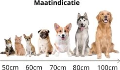 Behave Donut Hondenmand - Hondenkussen - Hondenbed - Kattenmand - Fluffy - Donut - 50cm - Beige 10 Behave Donut Hondenmand - Hondenkussen - Hondenbed - Kattenmand - Fluffy - Donut - 50cm - Beige -Huisdierbenodigdheden Serie 1200x706